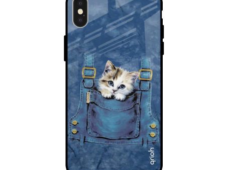 Kitty In Pocket Glass Case For iPhone X For Cheap